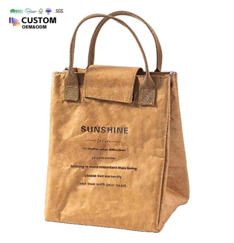 Brown Paper Tyvek Lunch Bag Waterproof Insulated Cooler Bag Eco Reusable