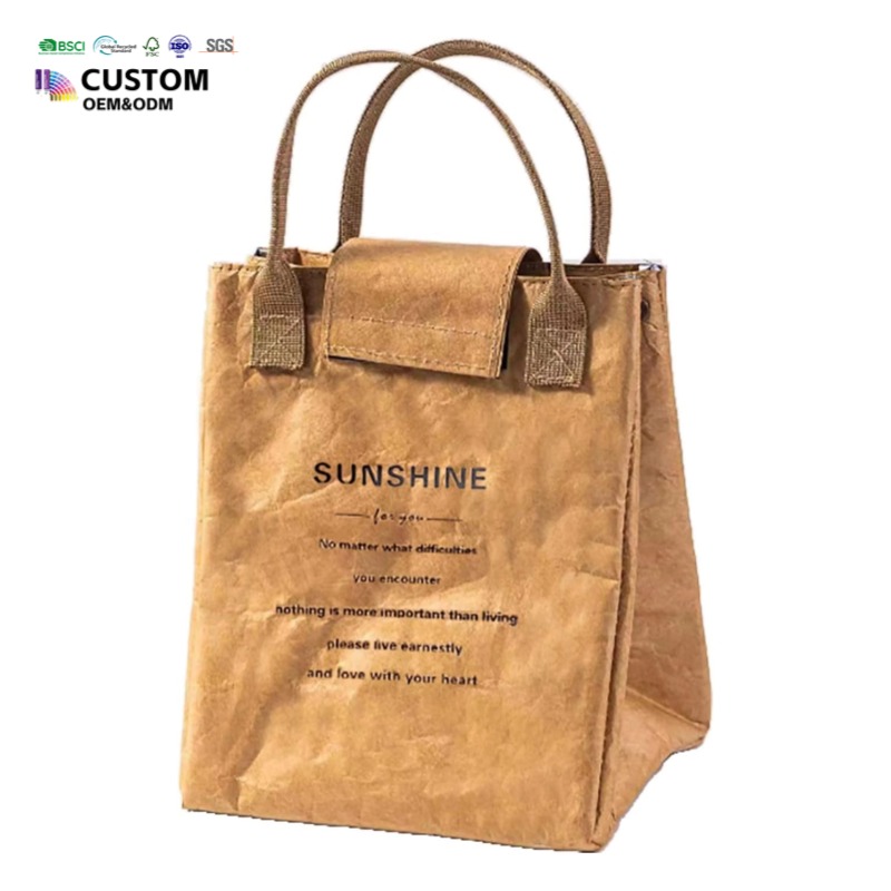 Brown Paper Tyvek Lunch Bag Waterproof Insulated Cooler Bag Eco Reusable