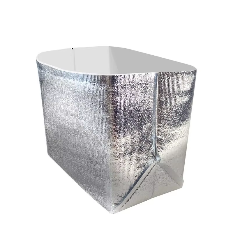 Custom Disposable Food Storage Cooler Bags Thermal Pizza Thermal Bags