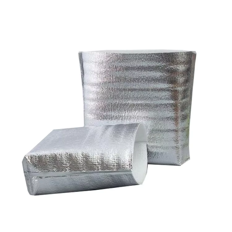 Custom Disposable Food Storage Cooler Bags Thermal Pizza Thermal Bags