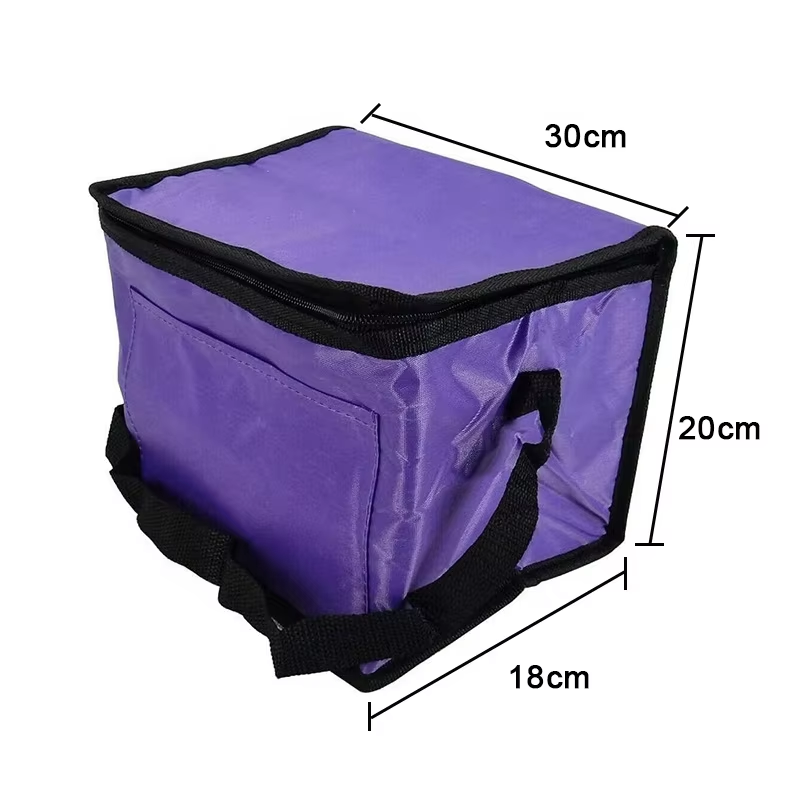 Small Polyester Aluminum Foil Insulated Lunch Box Tote Cooler Bag